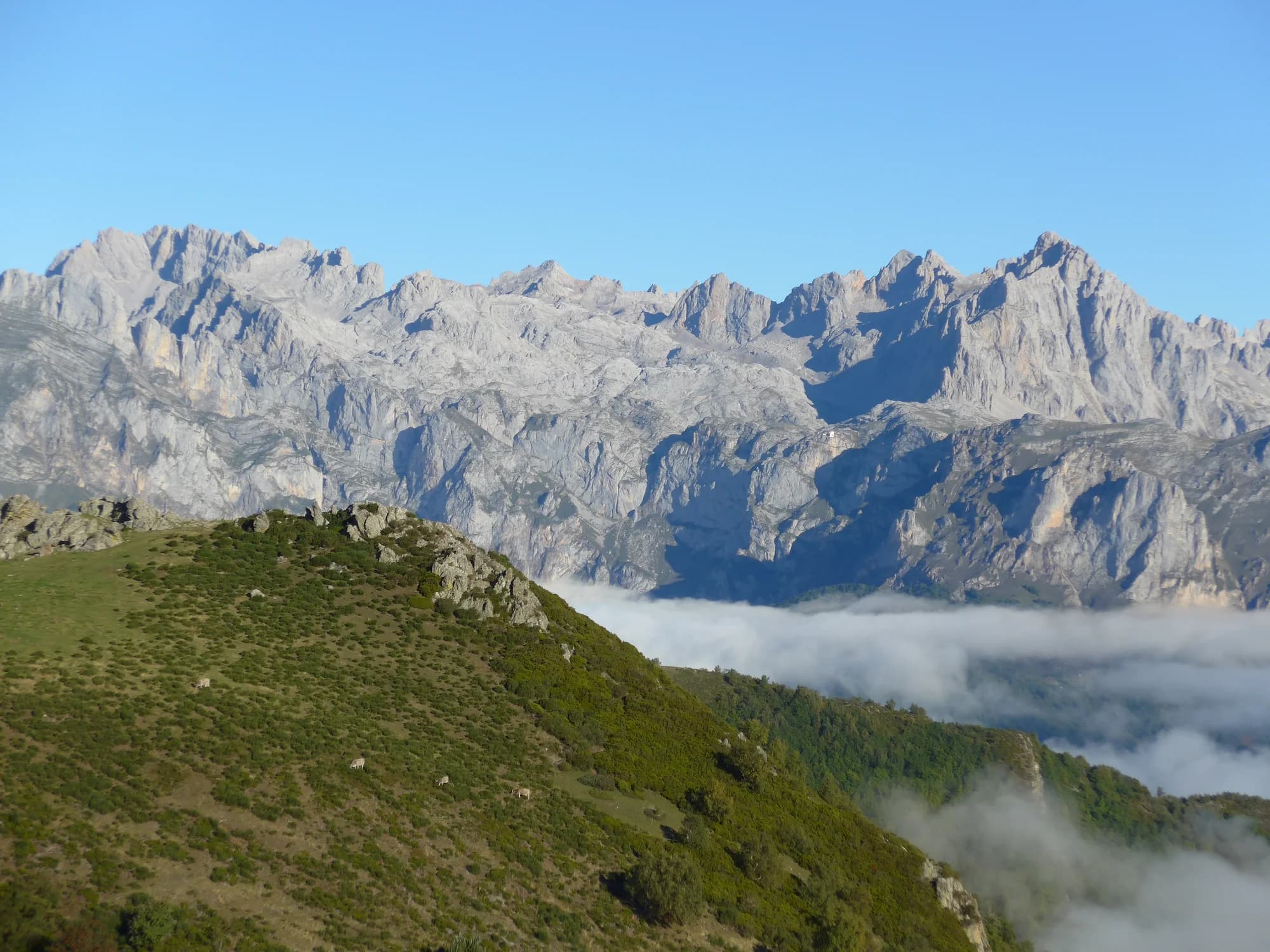 Picos de Europa: Hiking Green Spain